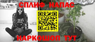 шишки Пугачёв
