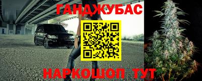 шишки Пугачёв