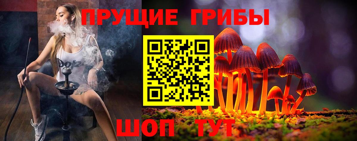 Галлюциногенные грибы мицелий Пенза